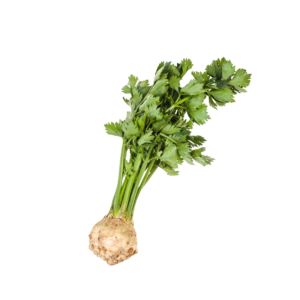 Apionabo