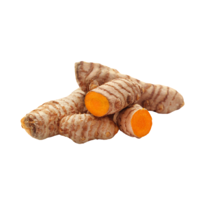 Cúrcuma raíz