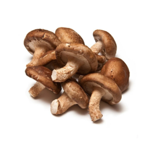 Shitake