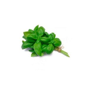 Albahaca