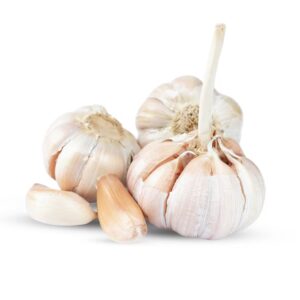 Ajo